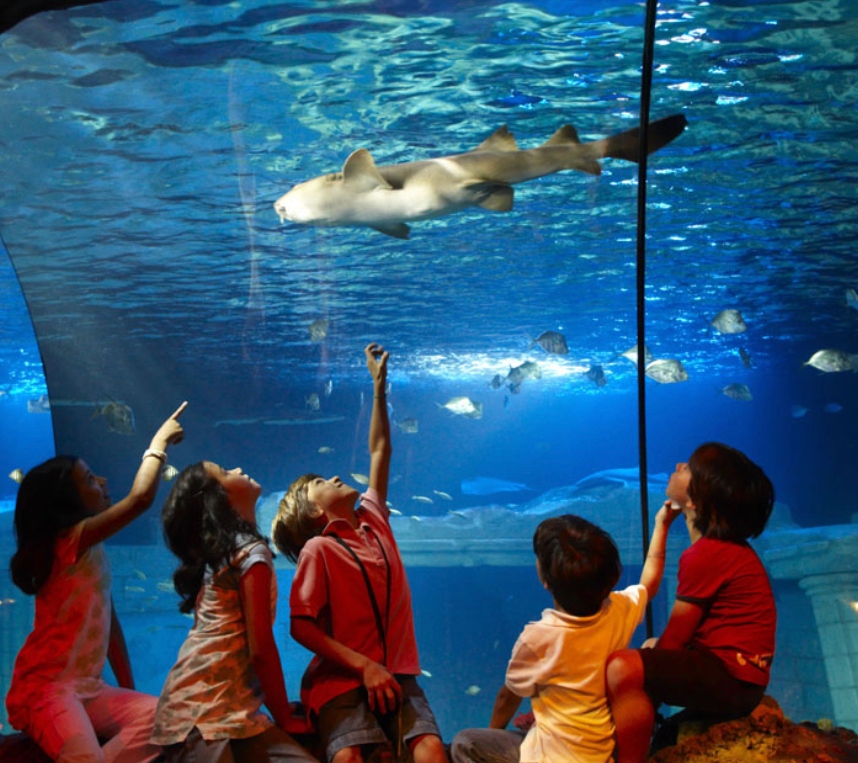 What to do with kids in Porto