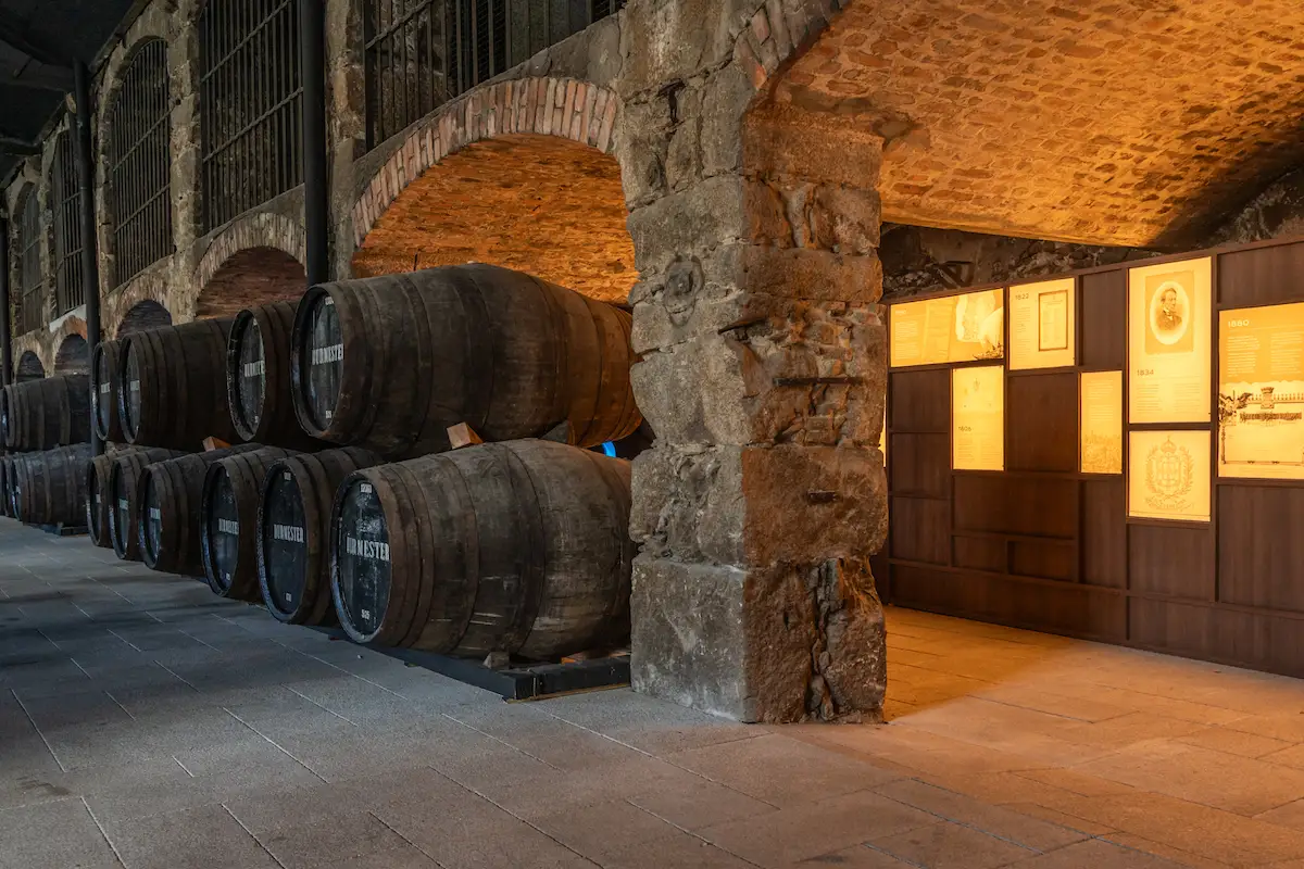 Wine cellar + tasting